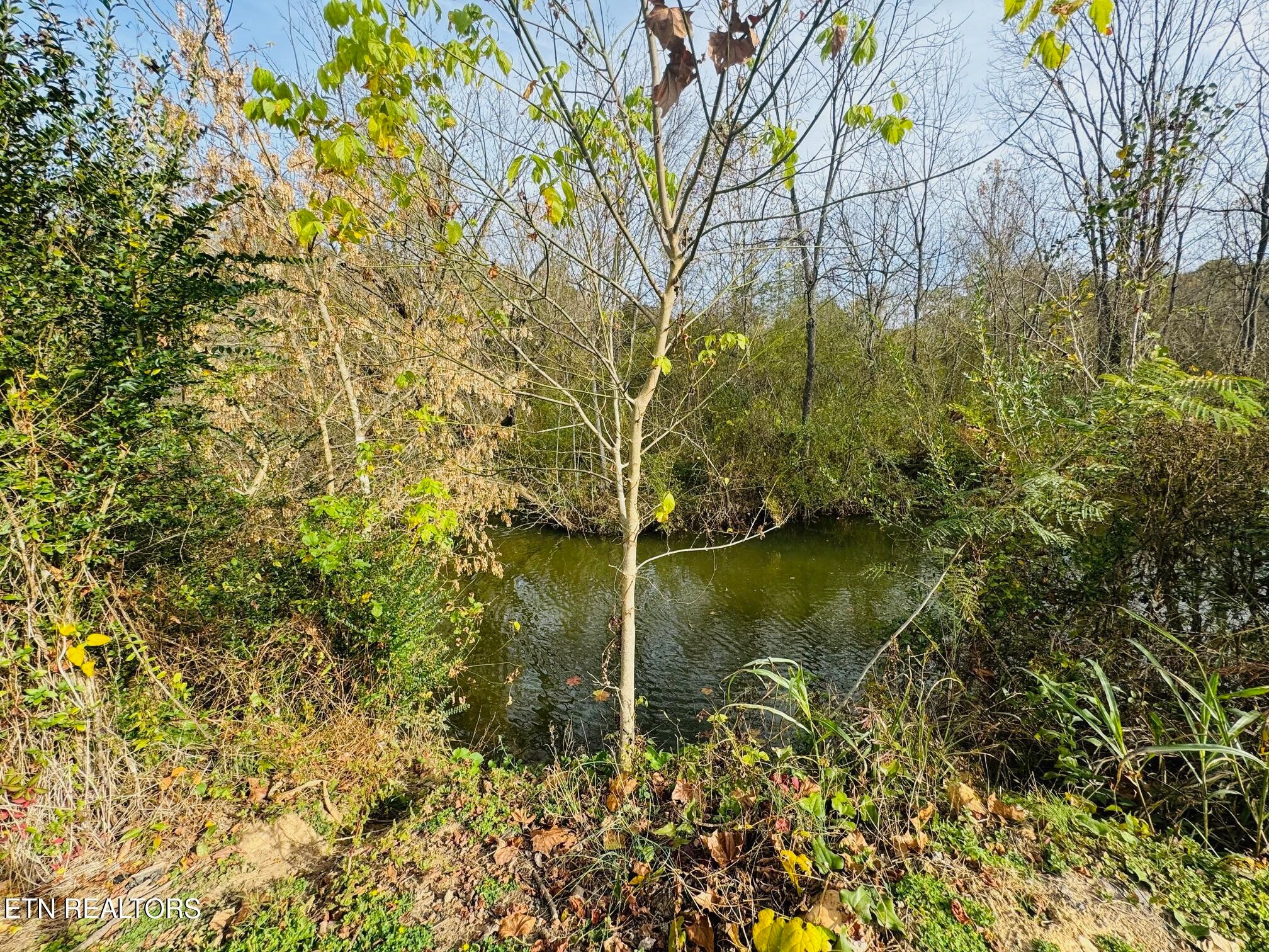 0 Clear Creek Road Newport, TN 37821 - Photo 3 of 19