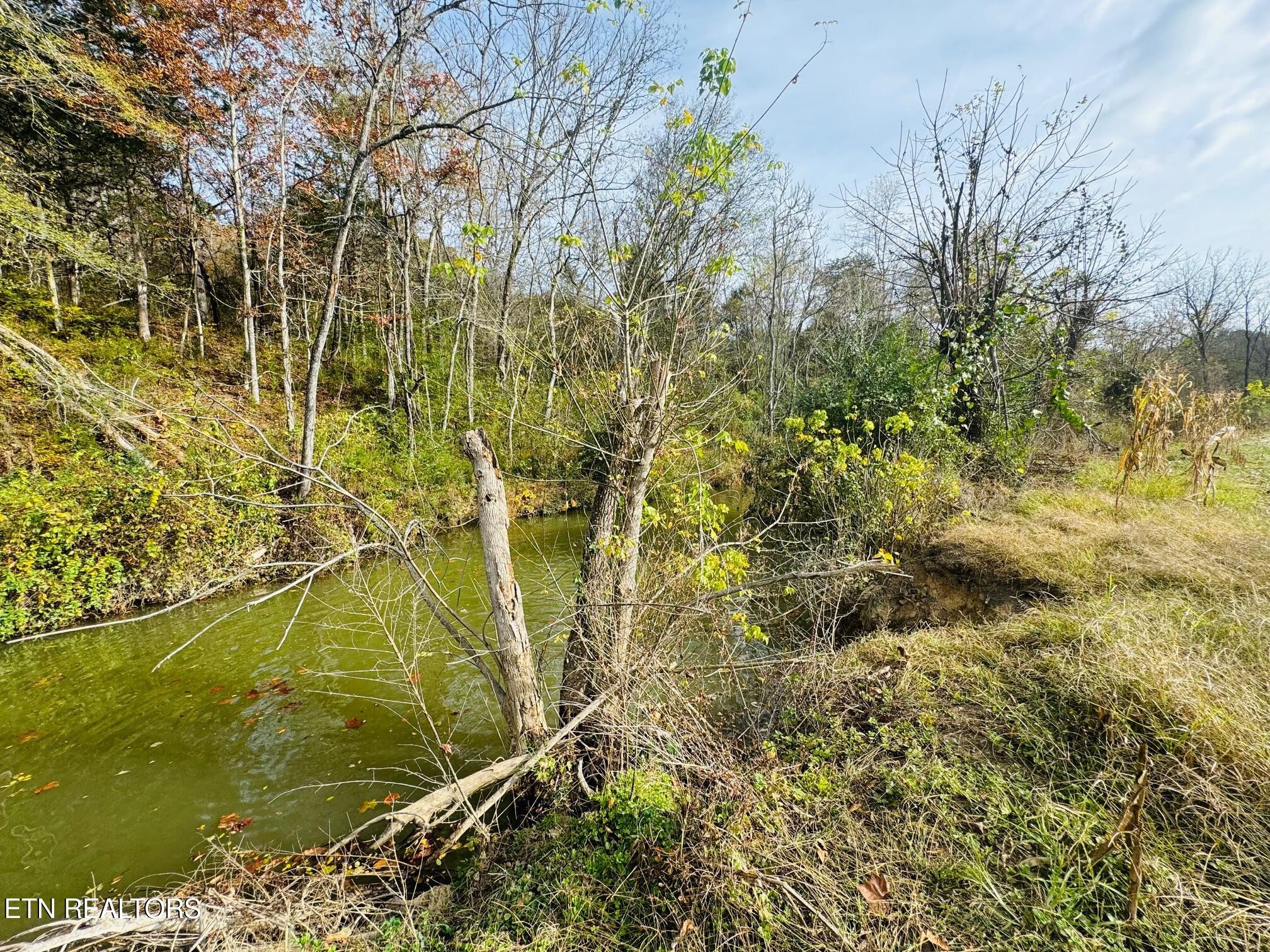 0 Clear Creek Road Newport, TN 37821 - Photo 5 of 19