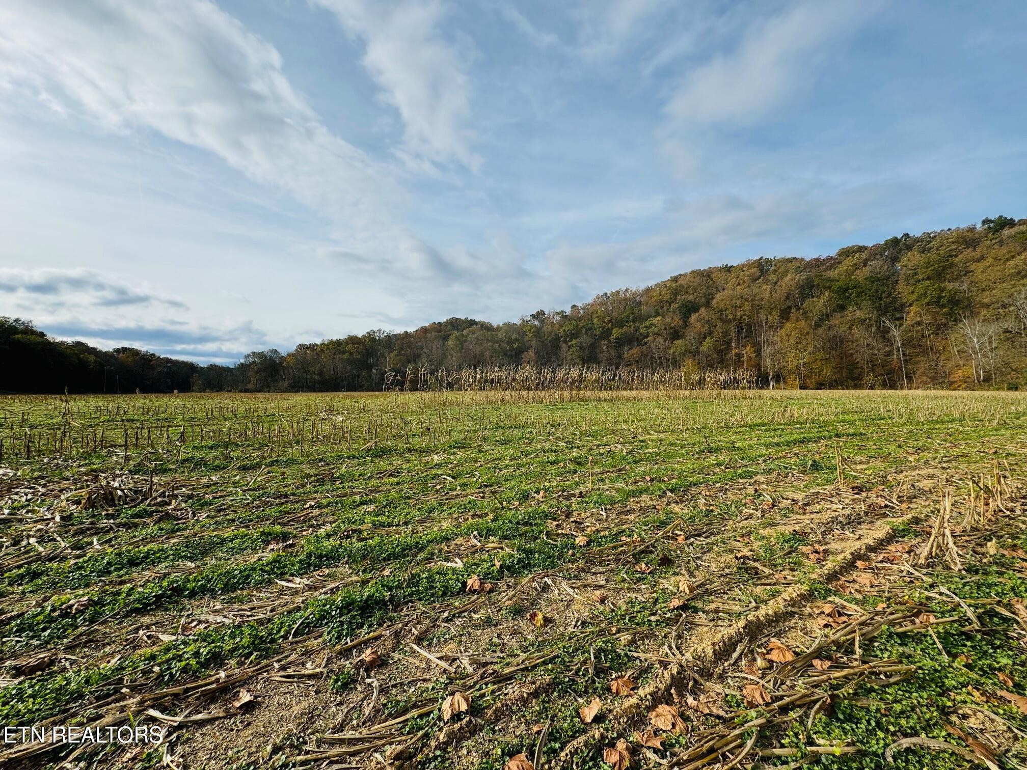 0 Clear Creek Road Newport, TN 37821 - Photo 8 of 19