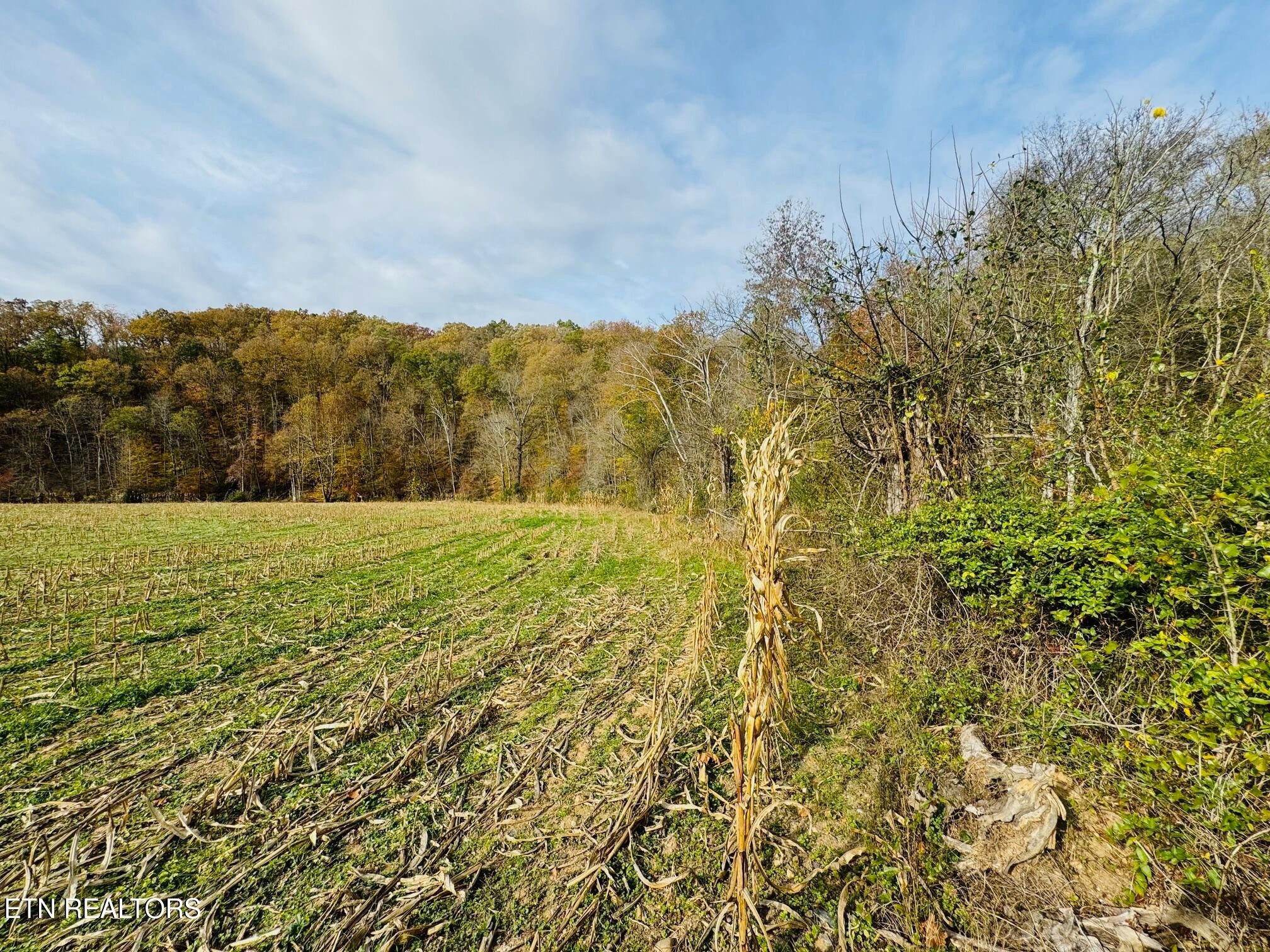0 Clear Creek Road Newport, TN 37821 - Photo 9 of 19