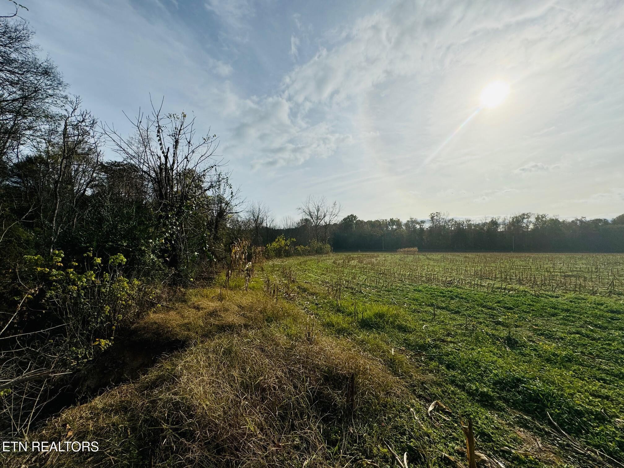 0 Clear Creek Road Newport, TN 37821 - Photo 10 of 19