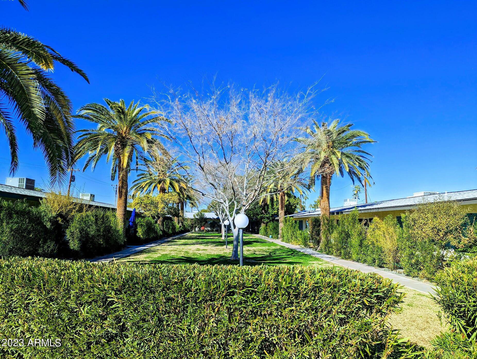 1250 East Bethany Home Road, Unit 5 Phoenix, AZ 85014 - Photo 21 of 31 Citrus Grove