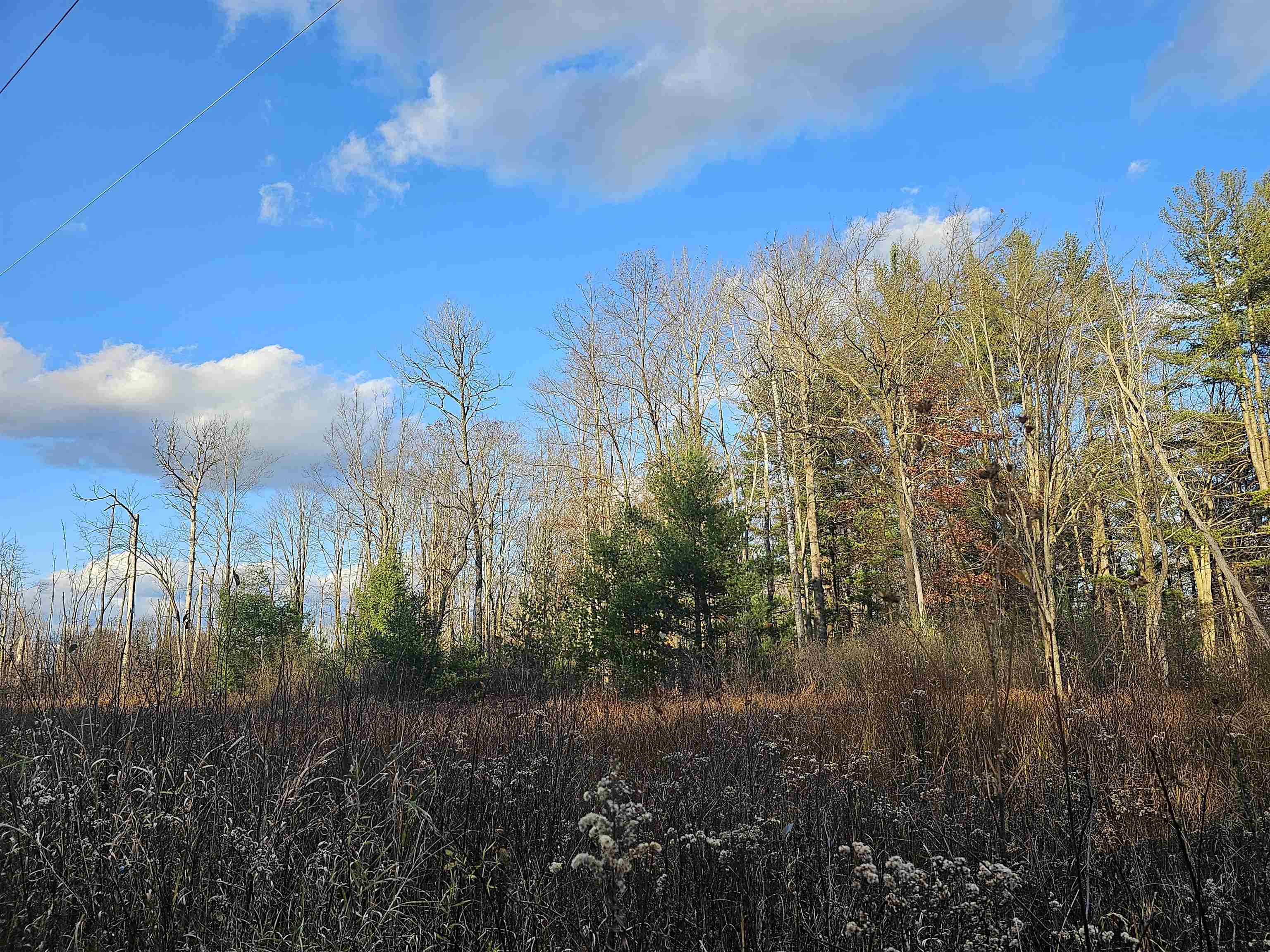 V/l Whittemore Road Turner, MI 48765 - Photo 1 of 16 Gallery Image 1