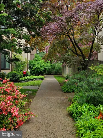 a view of a garden with flowers and trees