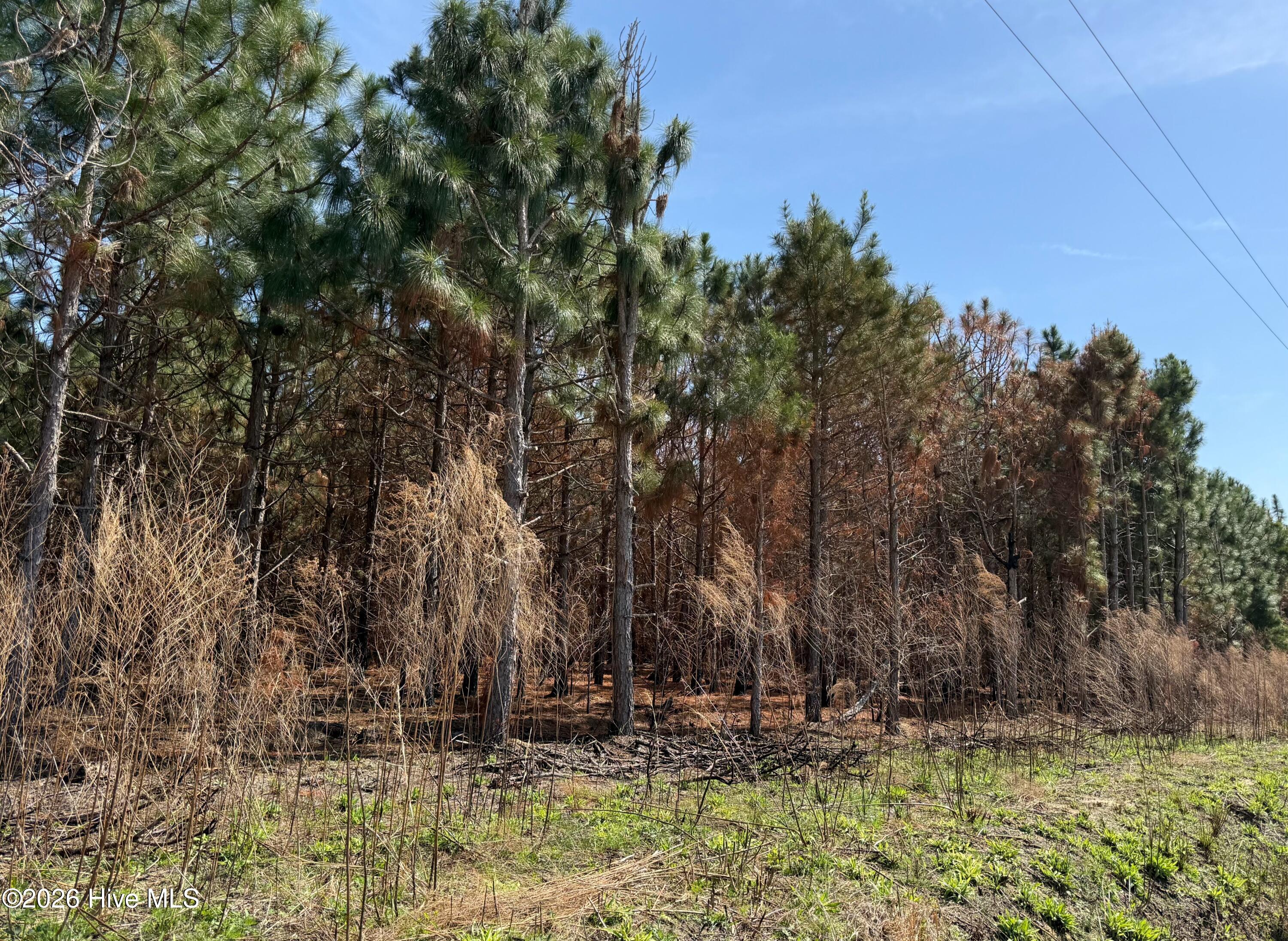 0 Old Stake Road Clarendon, NC 28432 - Photo 37 of 37 Image 36