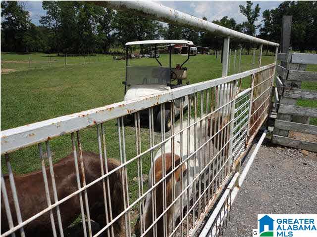 180 Hoyt Hill Road Ashville, AL 35953 - Photo 25 of 32