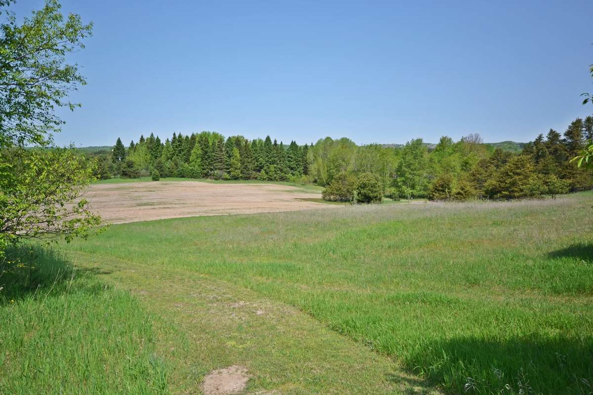 19876 Leroy Road Leroy, MI 49655 - Photo 56 of 65 1817022-55.JPG
