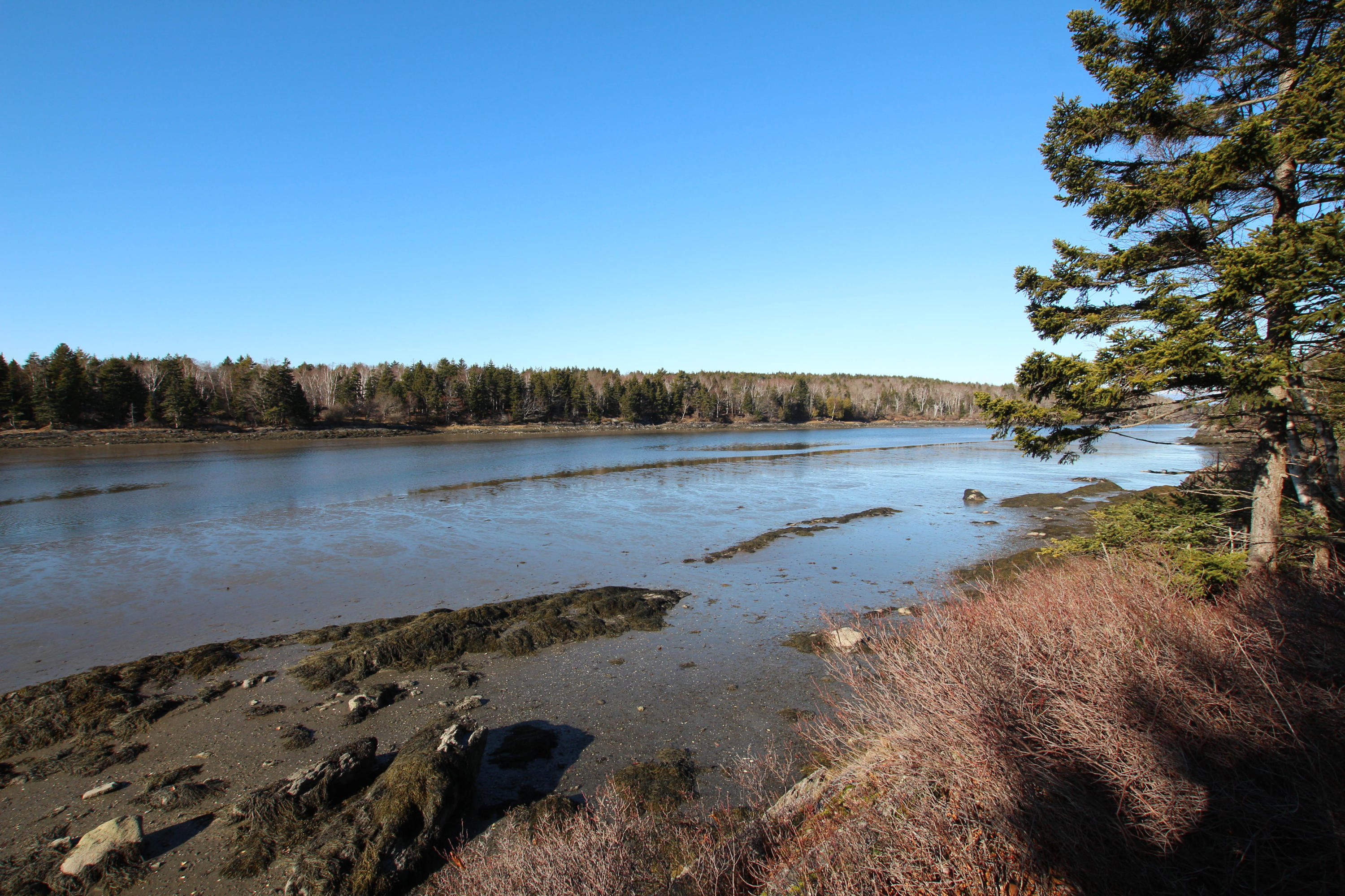 64 Branch Road Phippsburg, ME 04562 - Photo 13 of 34 IMG_7967