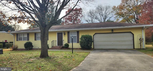 a view of a house with a yard and large tree