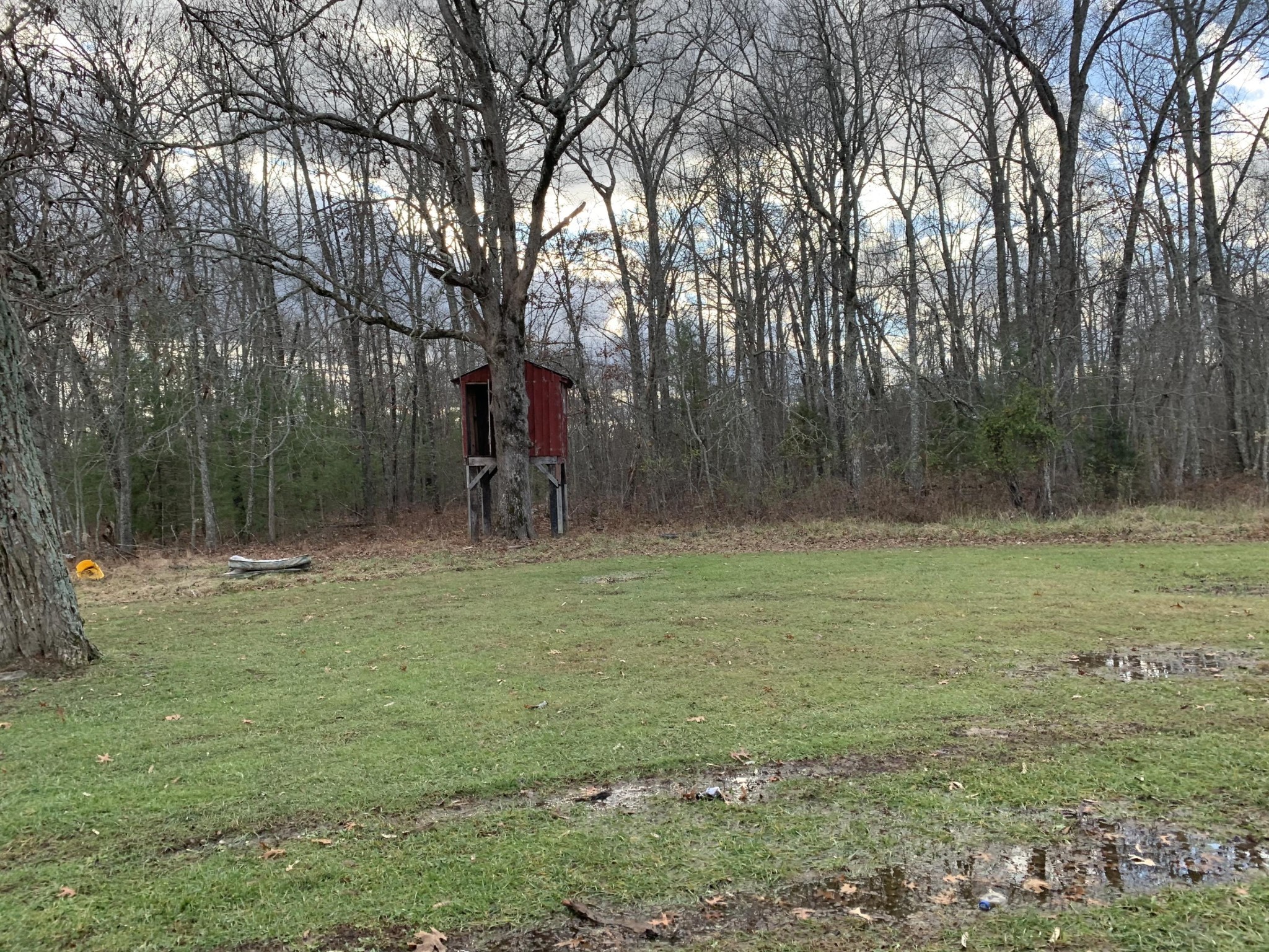 171 Jim McGill Road Deer Lodge, TN 37726 - Photo 36 of 36