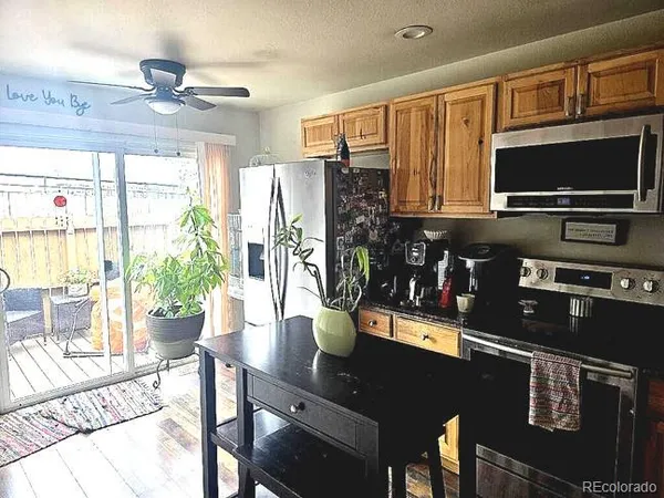 a view of a bunch of flowers