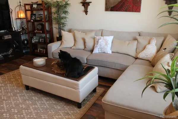 a living room with furniture and a potted plant
