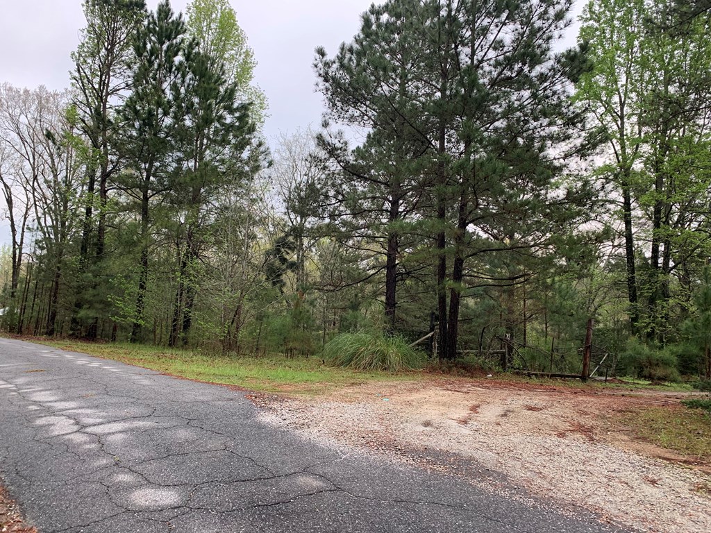 2554 County Line Road Cross Hill, SC 29332 - Photo 6 of 12 Gallery Image 6