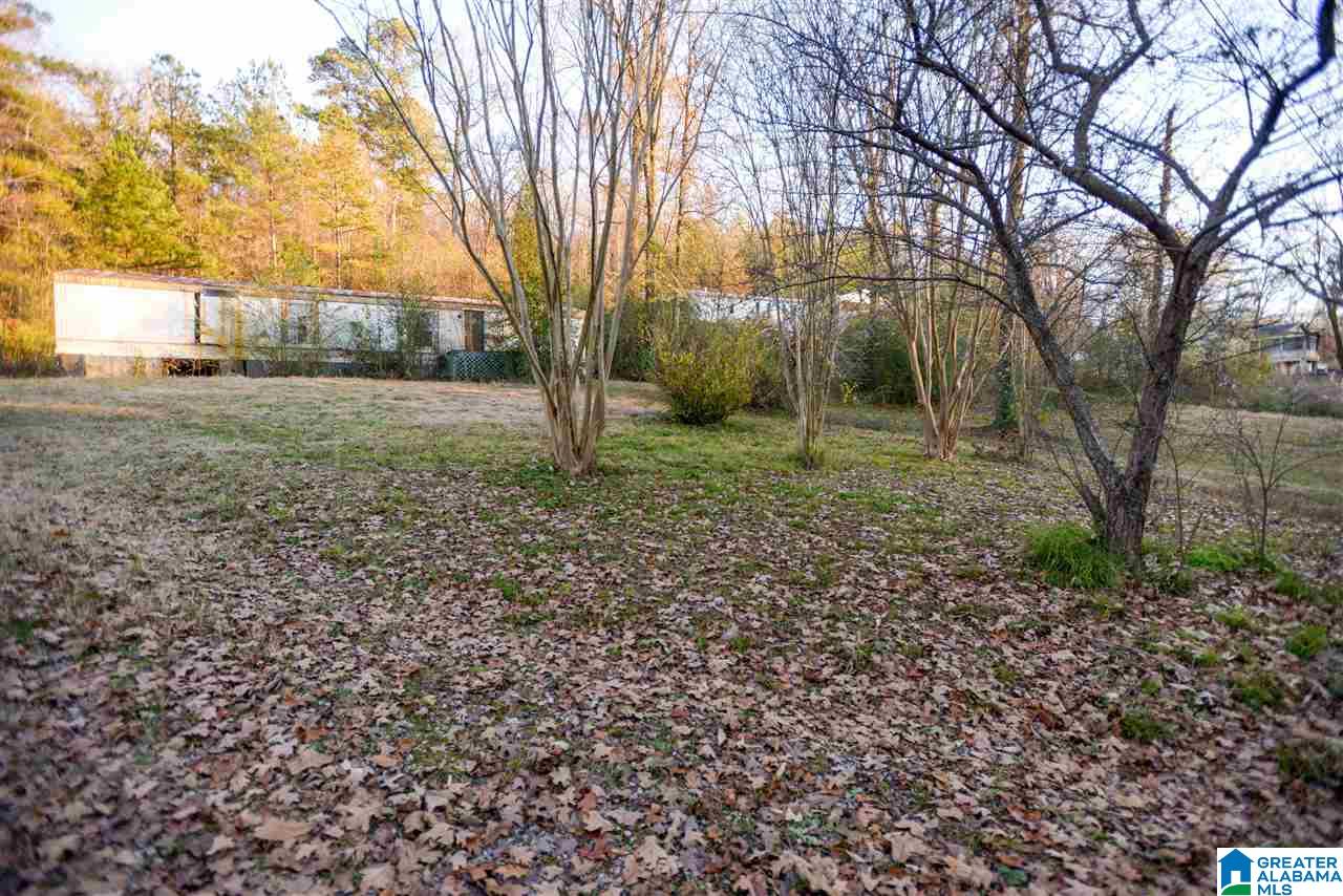 5860 Rockdale Road Bessemer, AL 35022 - Photo 3 of 19