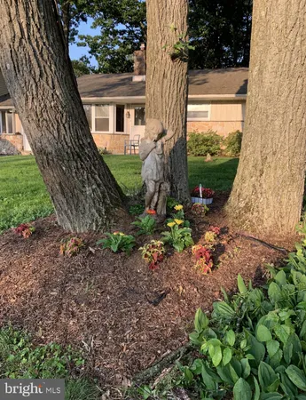 a view of a house with a tree in the yard