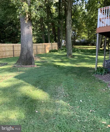 a view of a park with a tree