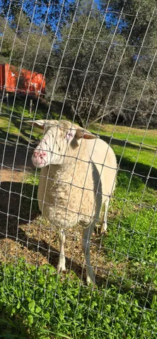 $359,500 | 33463 Road 233, North Fork, CA 93643