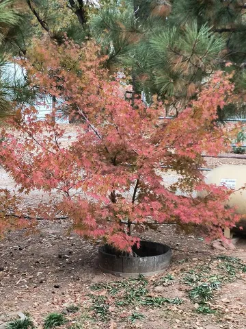 $359,500 | 33463 Road 233, North Fork, CA 93643