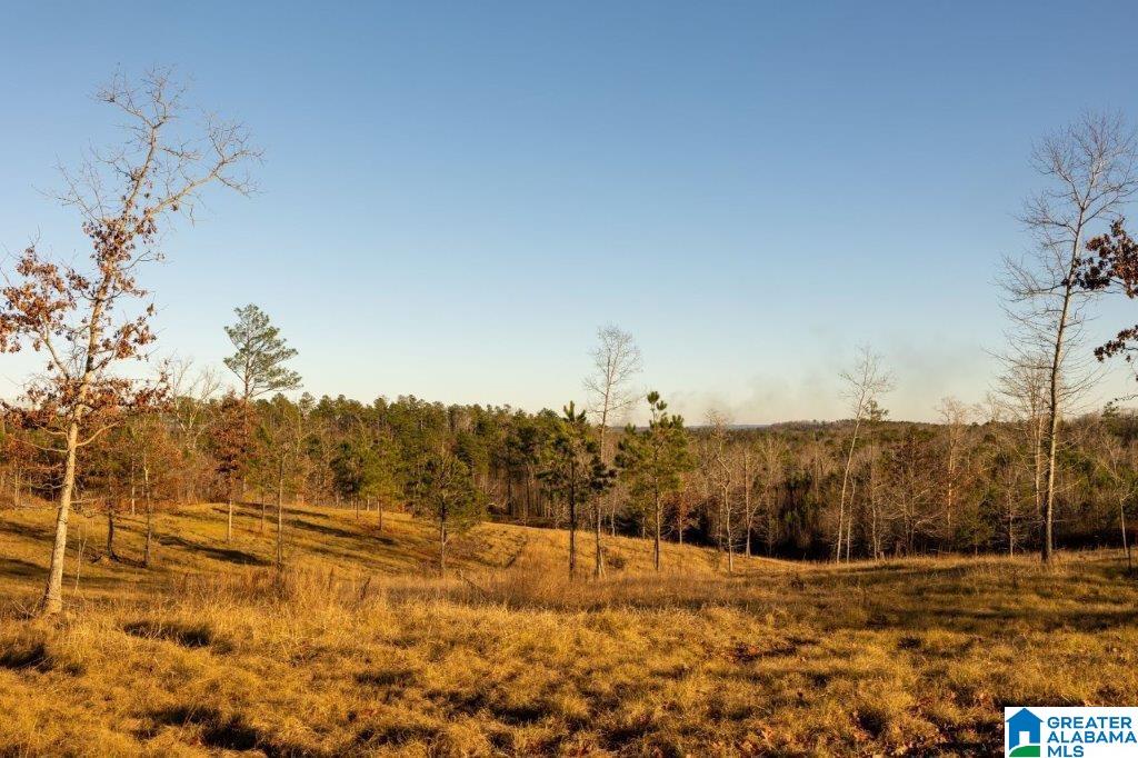 2936 County Road 29 Heflin, AL 36264 - Photo 1 of 5