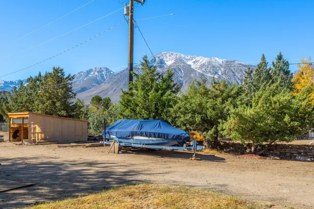 a backyard of a house with a garden and tree