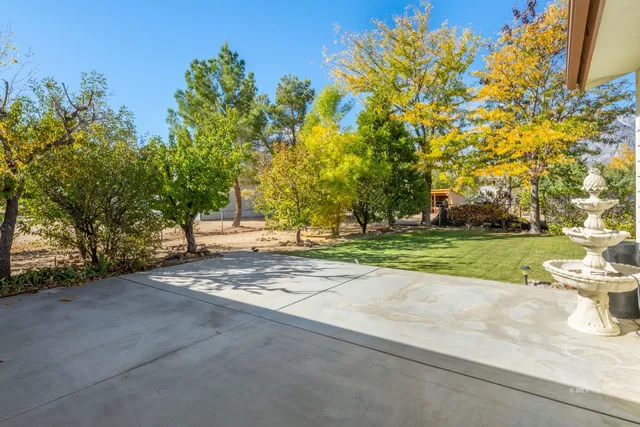 a view of a yard with plants and trees