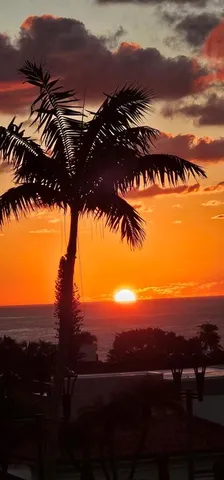 $2,350 | 3020 Northeast 32nd Avenue, Unit 819, Fort Lauderdale, FL 33308