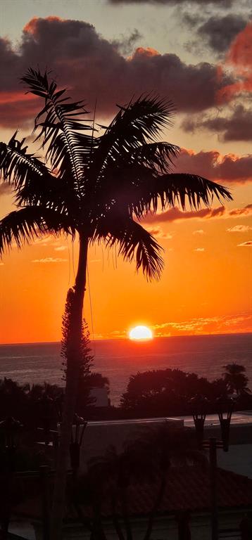 3020 Northeast 32nd Avenue, Unit 819 Fort Lauderdale, FL 33308 - Photo 67 of 68 View from condo!
