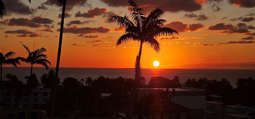 3020 Northeast 32nd Avenue, Unit 819 Fort Lauderdale, FL 33308 - Photo 68 of 68 Morning sunrise views taken from condo!