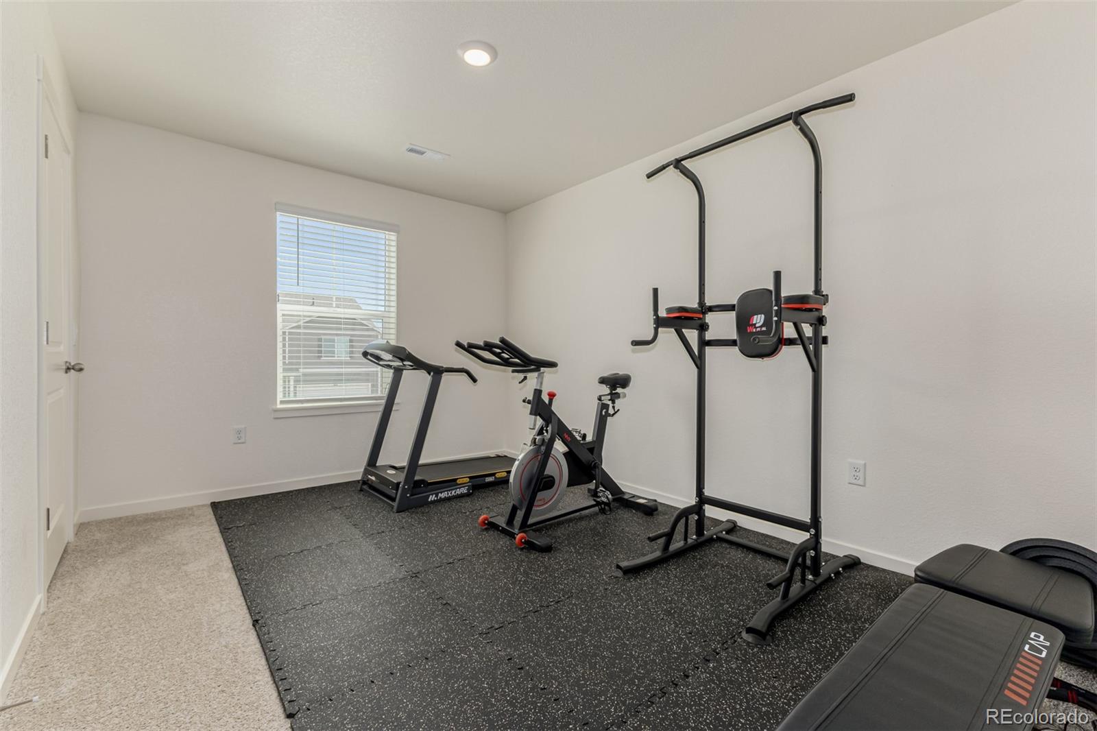 773 Allium Street Watkins, CO 80137 - Photo 26 of 46 a view of a room with gym equipment