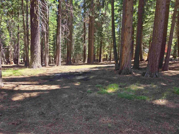 $42,000 | 307 Racoon Trail, Lake Almanor West, CA 96020