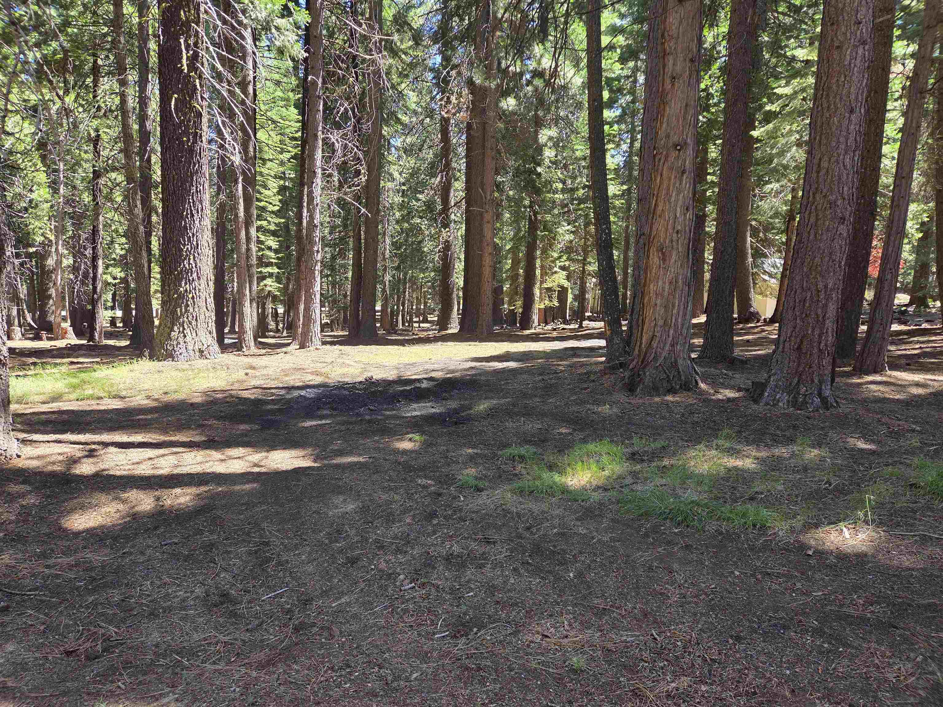 307 Racoon Trail Lake Almanor West, CA 96020 - Photo 1 of 4