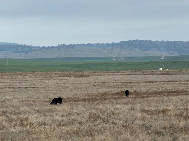 a view of a lake view