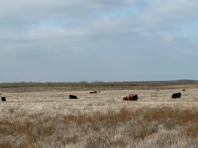 a view of a room with an ocean view