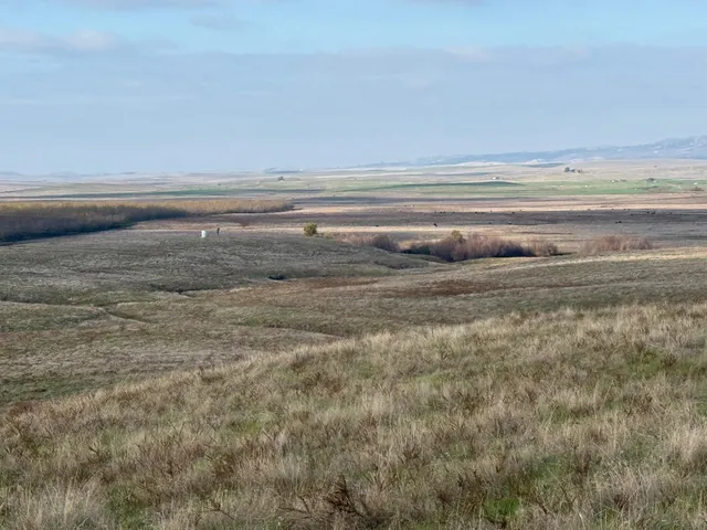 a view of an ocean beach