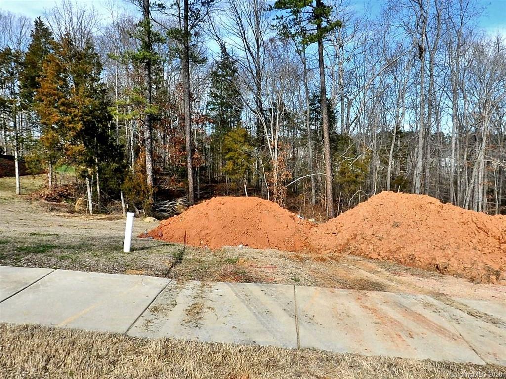 15625 June Washam Road Davidson, NC 28036 - Photo 1 of 1 Gallery Image 1