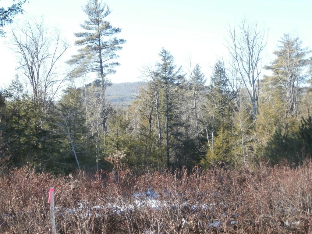 Lot #4 Abby Road Raymond, ME 04071 - Photo 1 of 2 View from lot #4