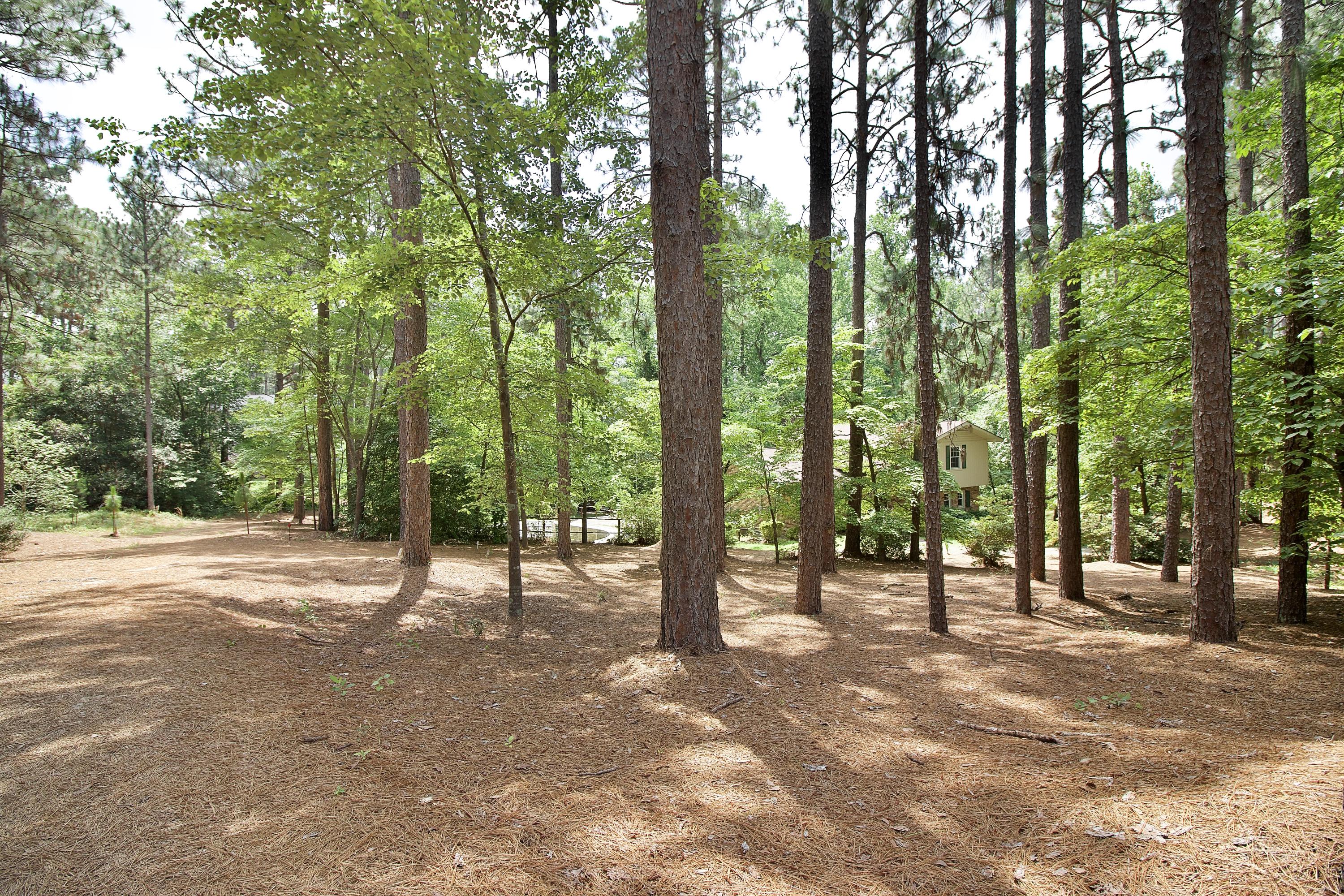 900 Robinwood Road Aberdeen, NC 28315 - Photo 51 of 58 IMG_5542
