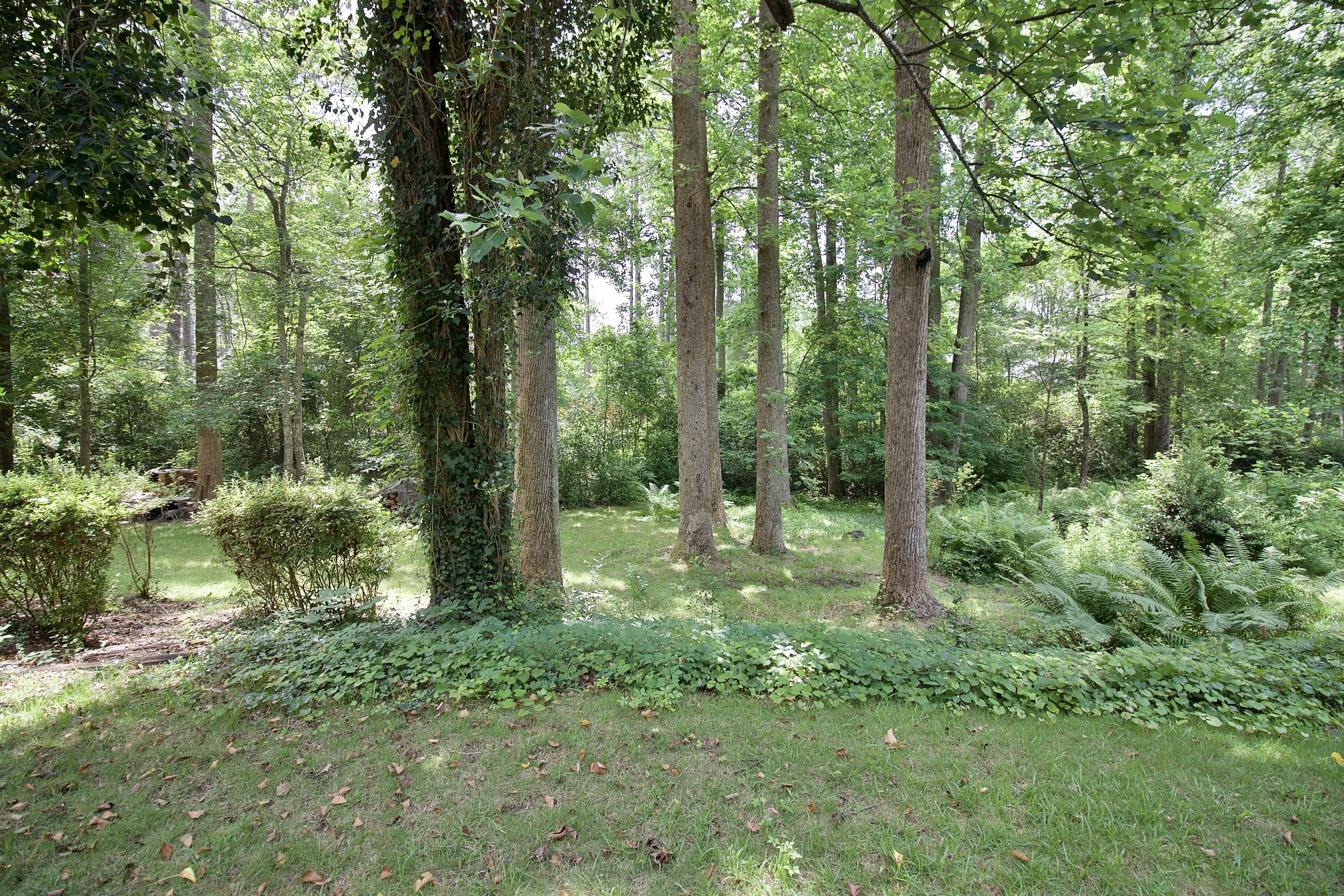 900 Robinwood Road Aberdeen, NC 28315 - Photo 54 of 58 IMG_5608