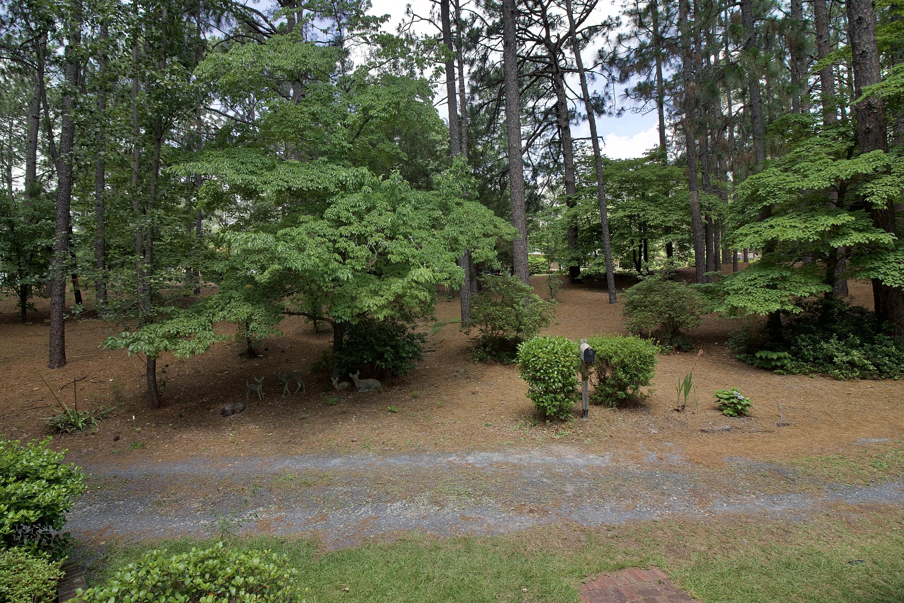 900 Robinwood Road Aberdeen, NC 28315 - Photo 58 of 58 IMG_5659