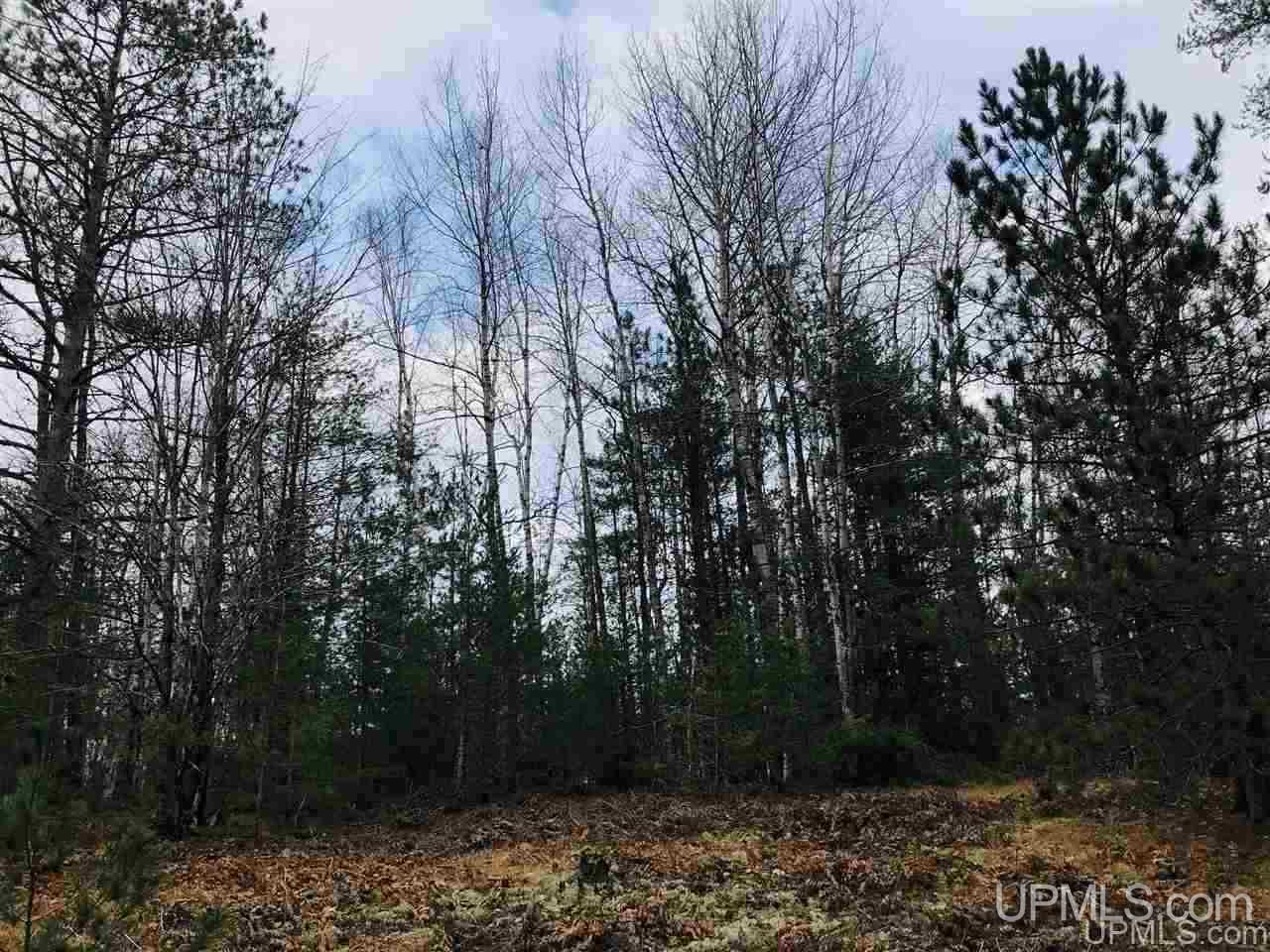 Tbd Mirror Lake Road Munising, MI 49862 - Photo 17 of 19