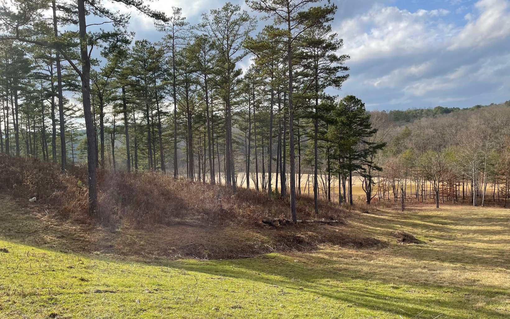 10 Hidden Harbor Brunswick, GA 31525 - Photo 25 of 46 Additional View