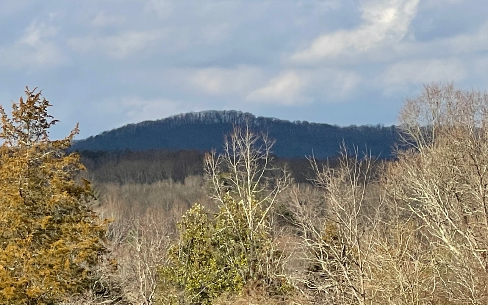 10 Hidden Harbor Brunswick, GA 31525 - Photo 29 of 46 Additional View