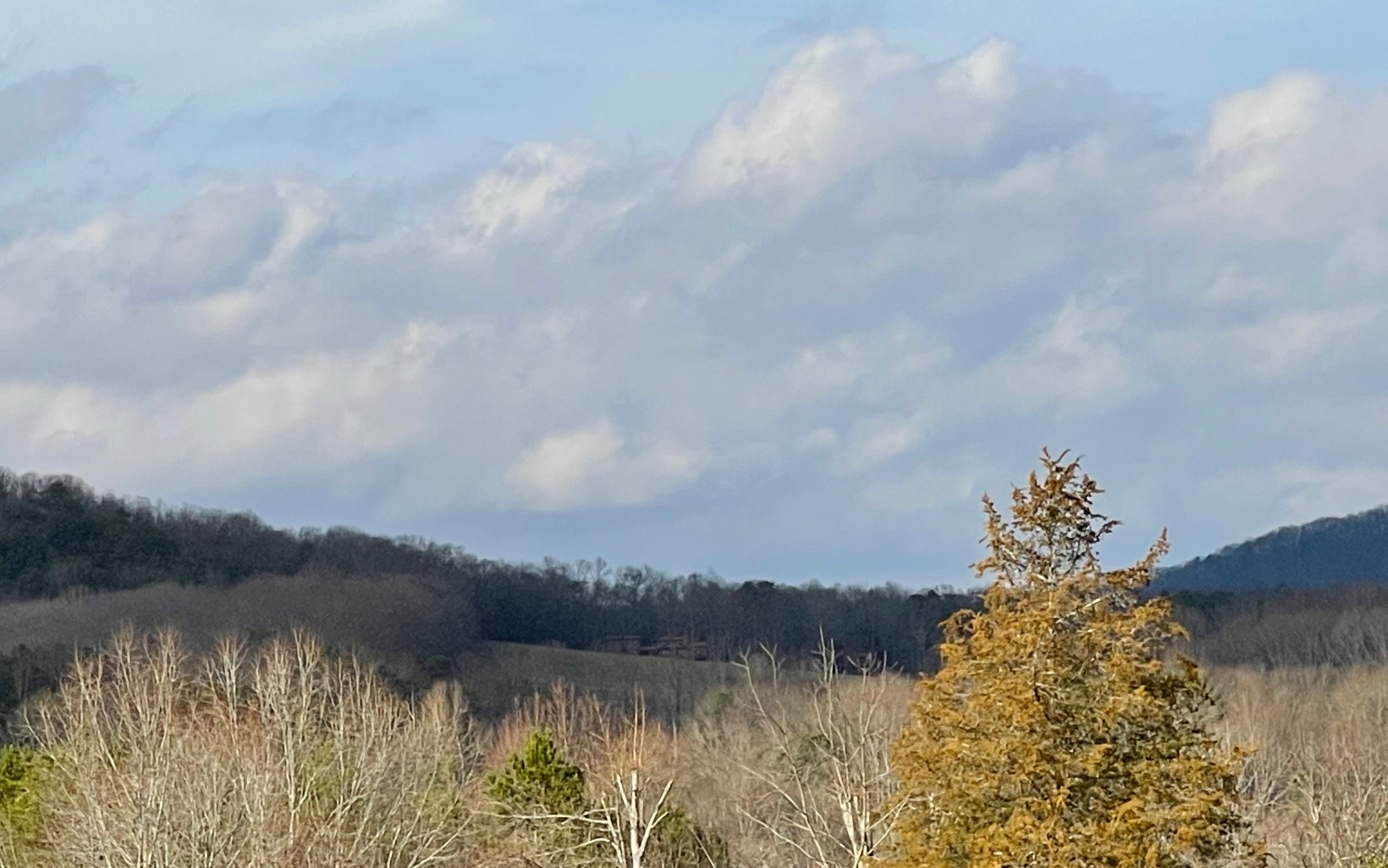 10 Hidden Harbor Brunswick, GA 31525 - Photo 30 of 46 Additional View