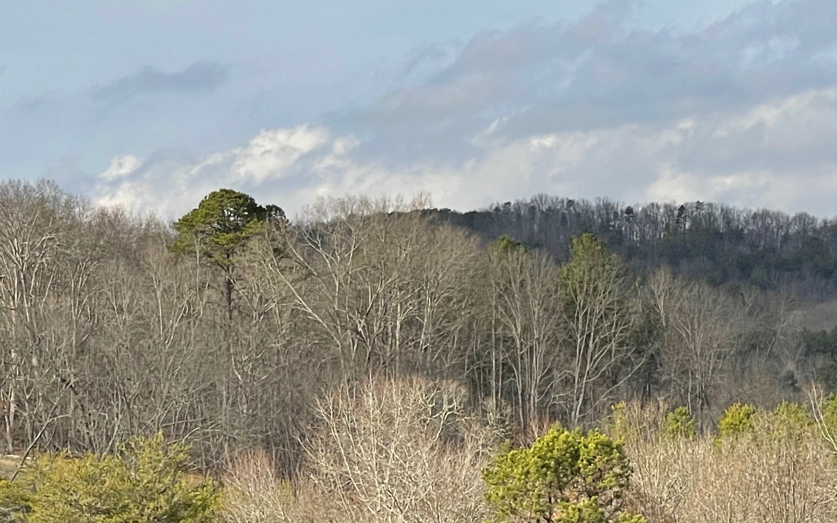 10 Hidden Harbor Brunswick, GA 31525 - Photo 31 of 46 Additional View