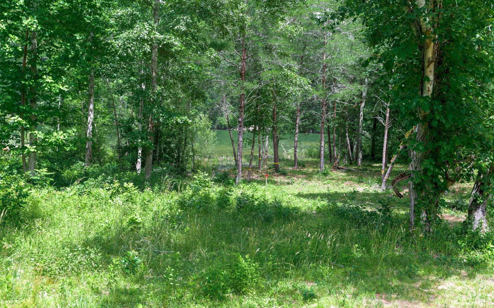 10 Hidden Harbor Brunswick, GA 31525 - Photo 43 of 46 Additional View