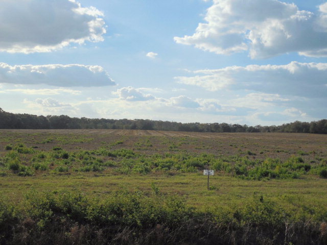 1.84-ac Christmas Road Ashford, AL 36312 - Photo 1 of 1