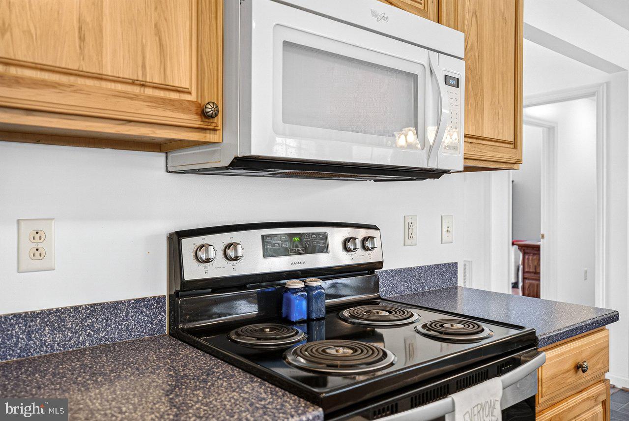379 Riverside Drive Luray, VA 22835 - Photo 11 of 82 Gallery Image 11