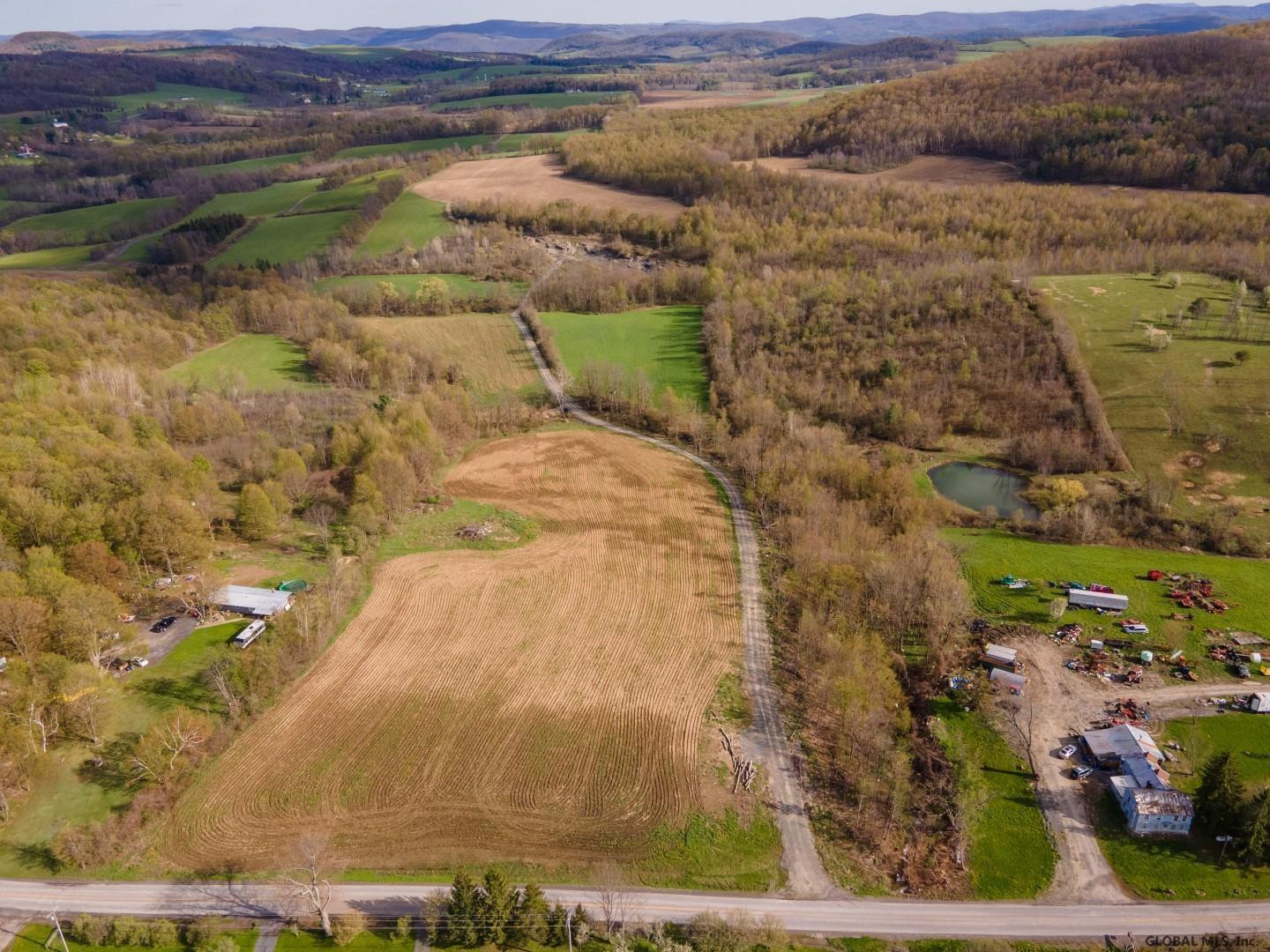 0 Slate Hill Road Sharon Springs, NY 13459 - Photo 8 of 10 Photo 8