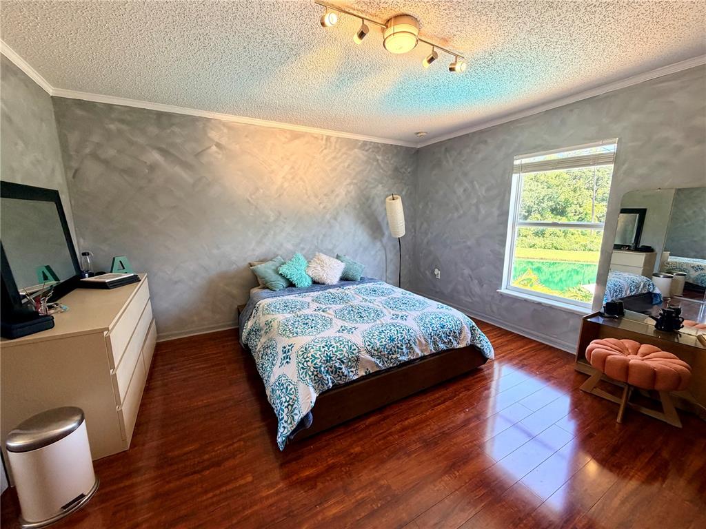 30341 Pongo Way Wesley Chapel, FL 33545 - Photo 19 of 30
