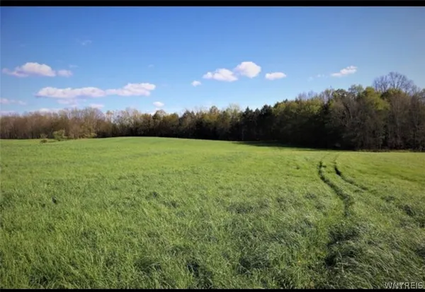 $95,000 | 39 Route Collins Ny 14034, Collins, NY 14034